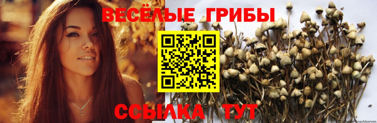 Галлюциногенные грибы MAGIC MUSHROOMS  Вход с VPN  Семилуки 